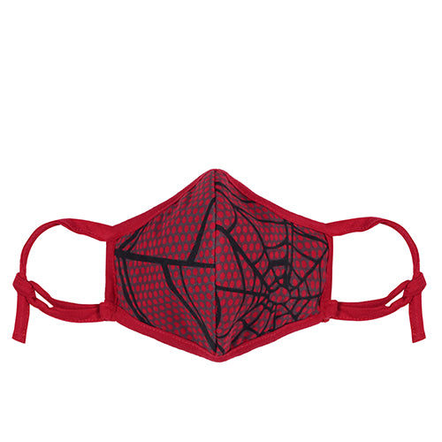 Spider Web Adjustable and Washable 5 Layer Face Mask