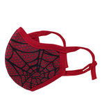 Spider Web Adjustable and Washable 5 Layer Face Mask